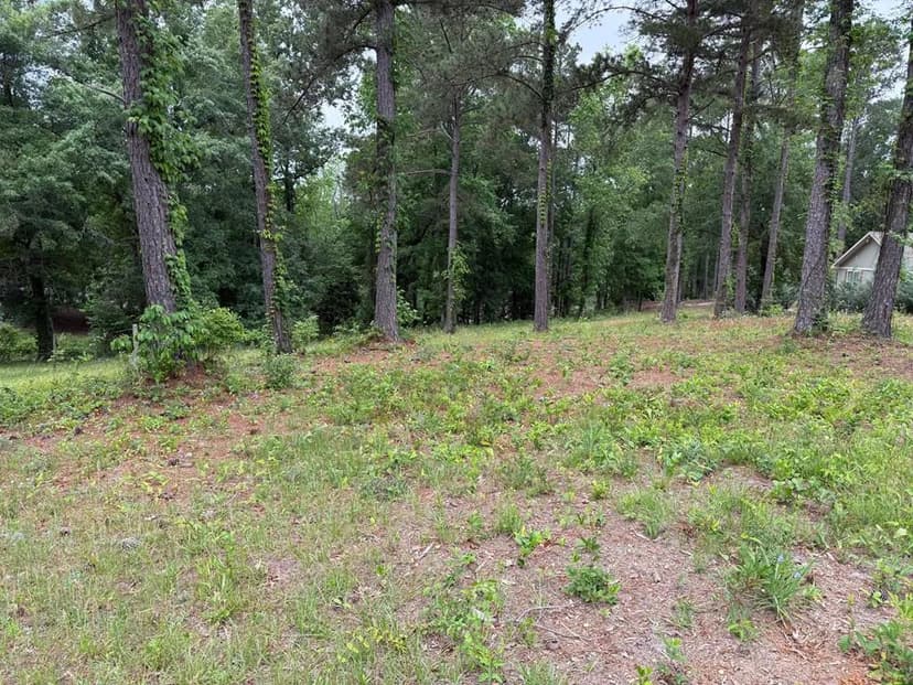Lots & Land-Other in Abbeville