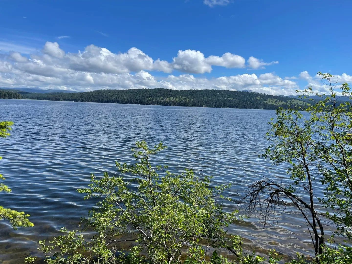 Lots & Land-Other in Seeley Lake - Seeley Lake, Montana, 59868