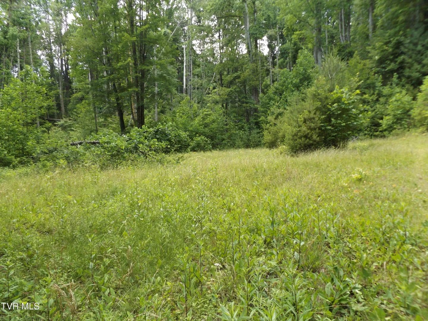 5.18 Acres of Land for Sale in Butler, Tennessee - Butler, Tennessee, 37640