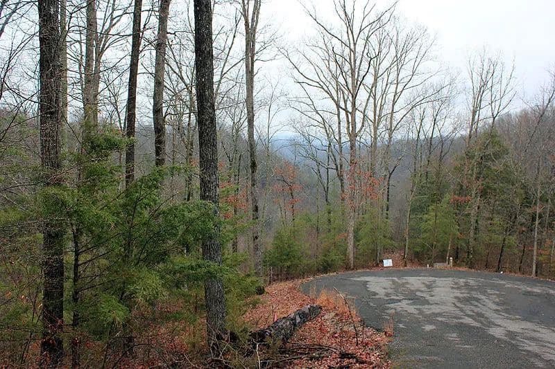 Land -Single Family Acreage in Monticello