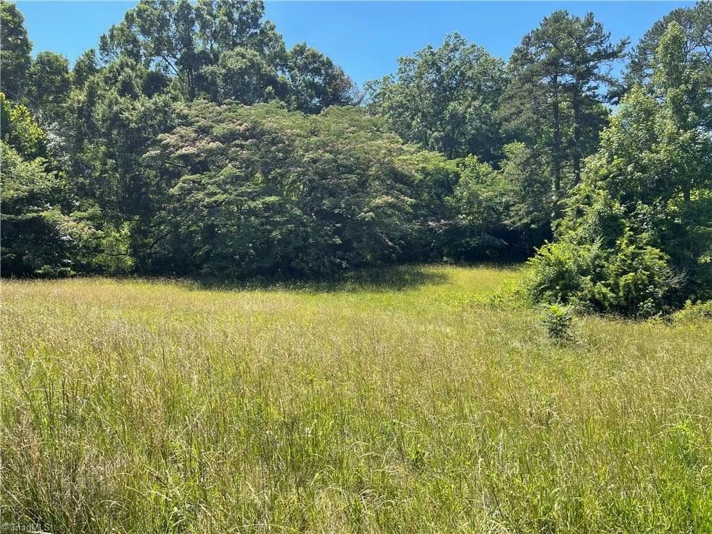 Property from 1310 WHITE Street - KW - Lexington, North Carolina, 27292
