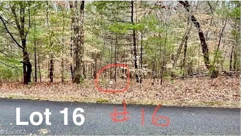 Vacant Land in Stuart - Stuart, Virginia, 24171