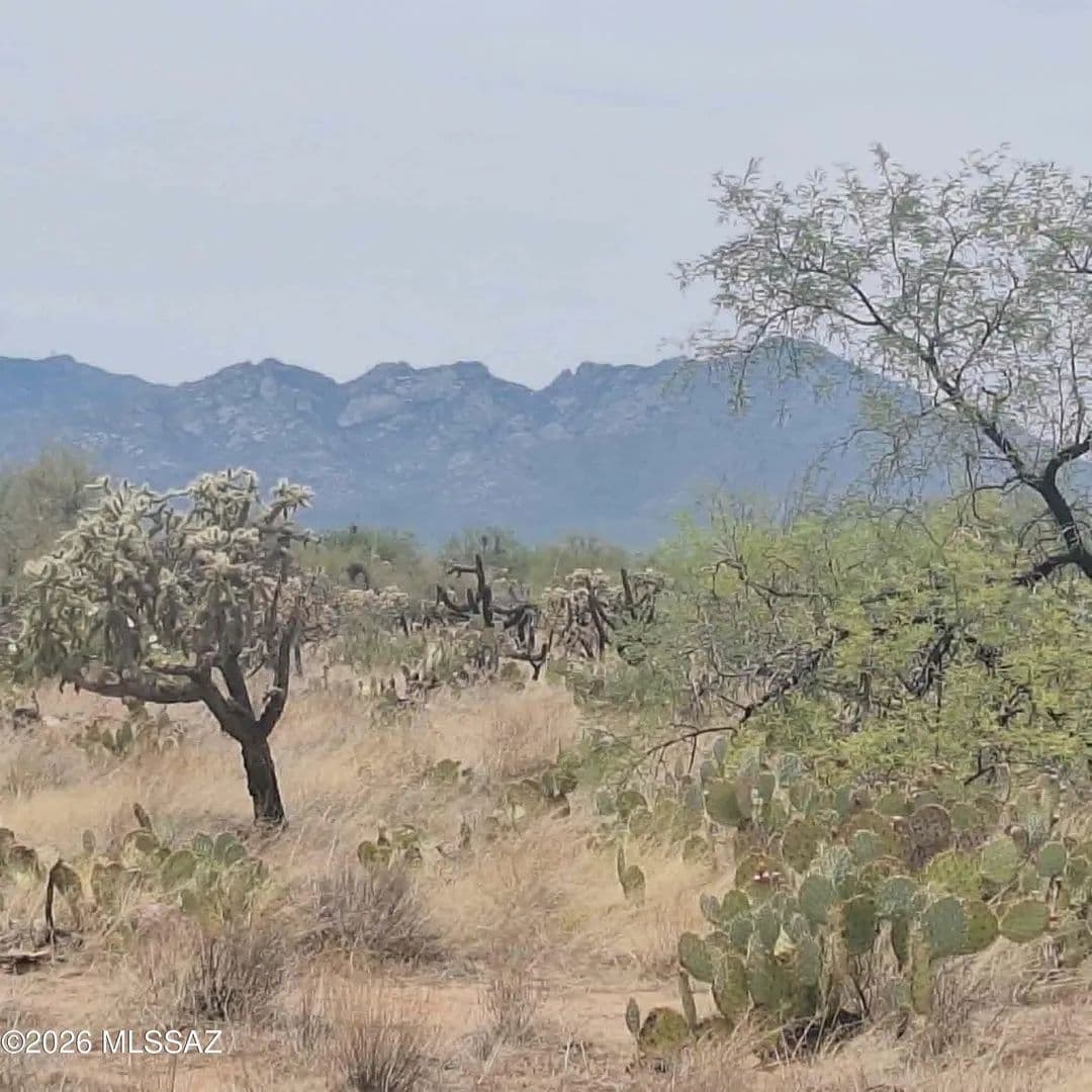 Vacant Land in Tucson - Tucson, Arizona, 85736