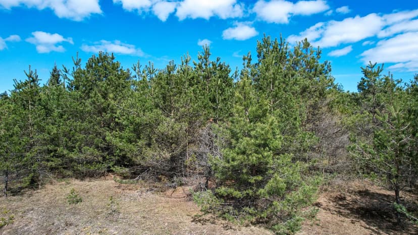 Vacant Land in Cheboygan