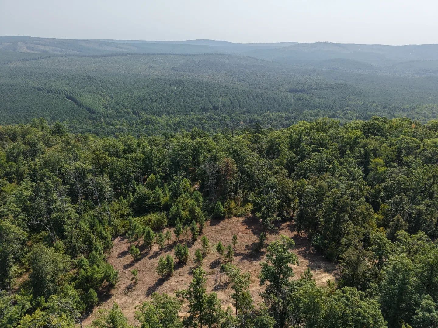 80.57 Acres in Mccurtain County, OK  - Bethel, Oklahoma, 74724