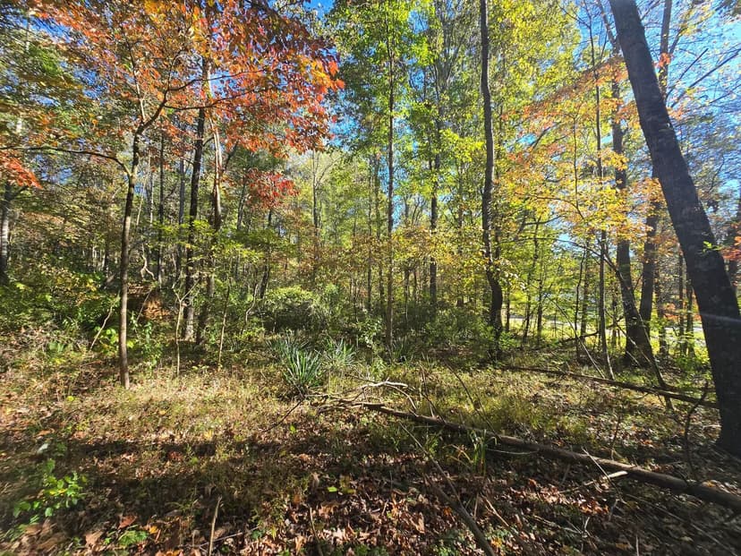 Land -Agricultural (Not Zoned) in Pennington Gap