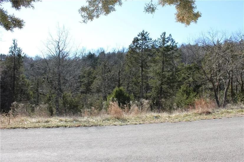 Lots & Land-Other in Holiday Island