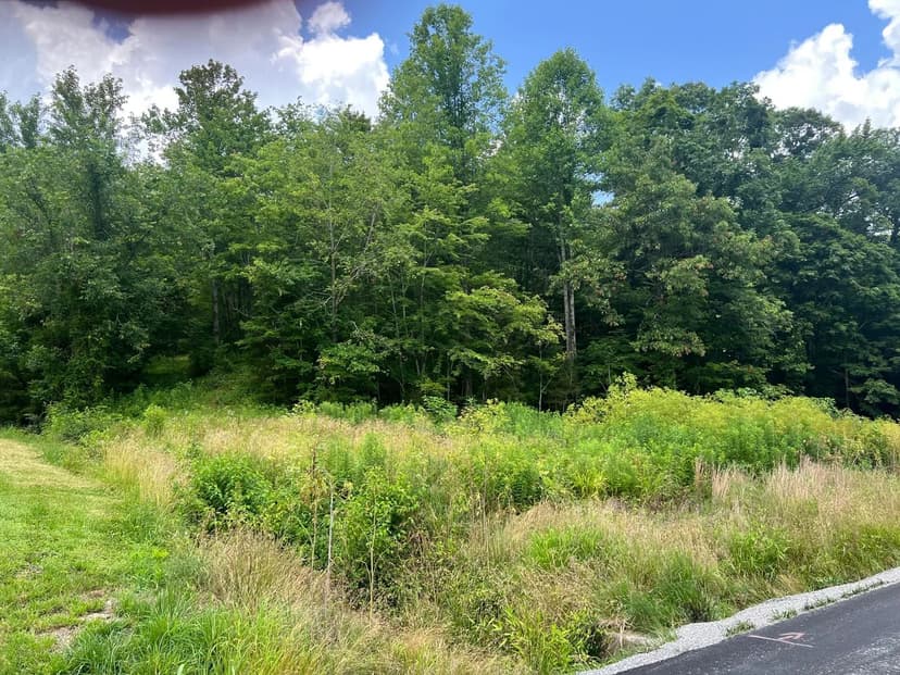 Property from 9999 White Oak Road - KW