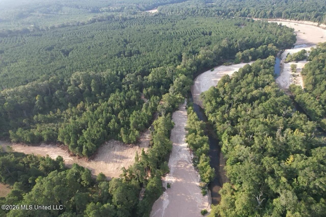 80± Acre Riverfront Hunting Land Near Meadville, MS - Meadville, Mississippi, 39653