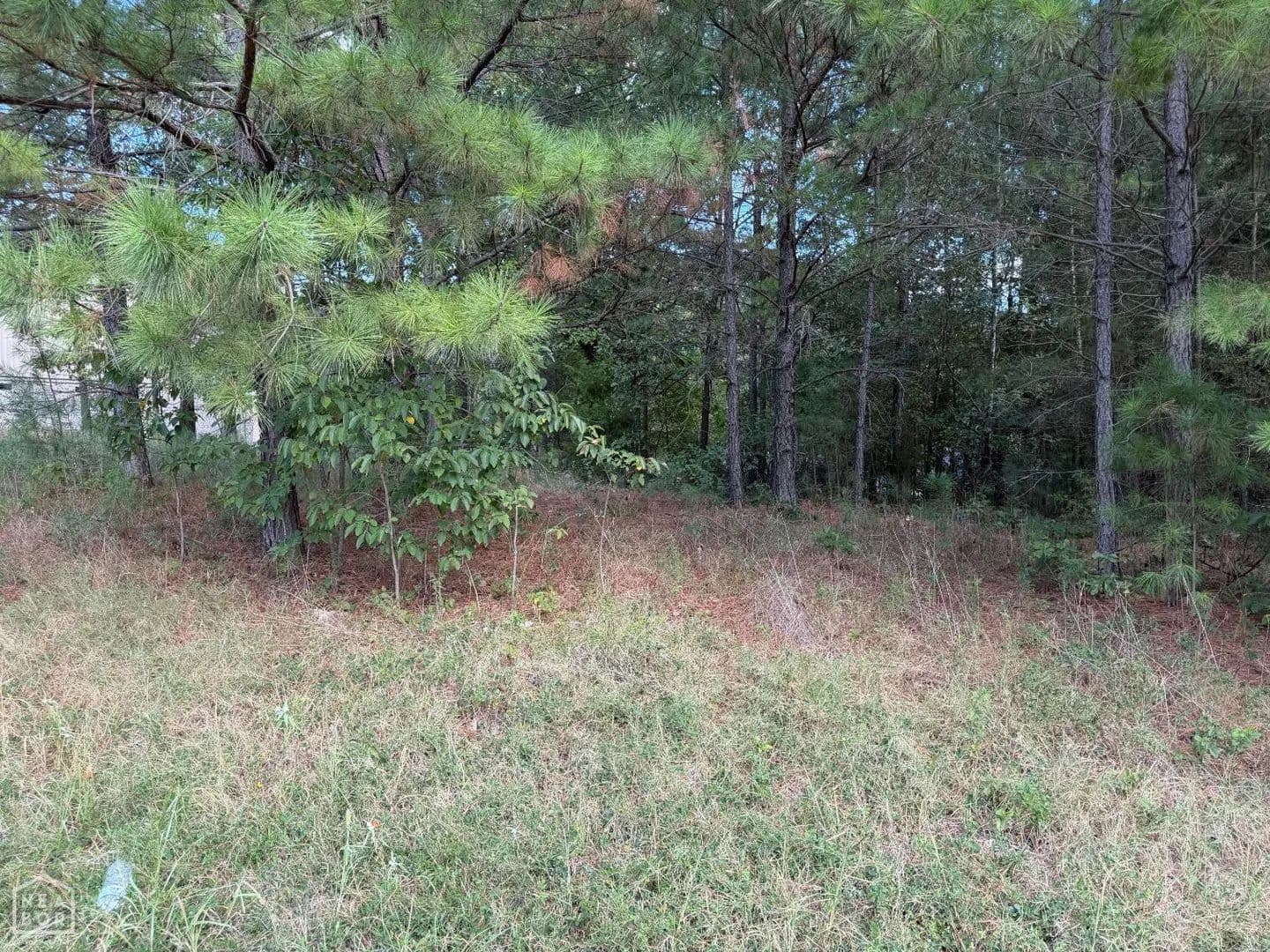 Land -Single Family Acreage in Paragould - Paragould, Arkansas, 72450