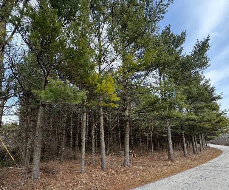 Vacant Land (0-10 Acres) in Sturgeon Bay