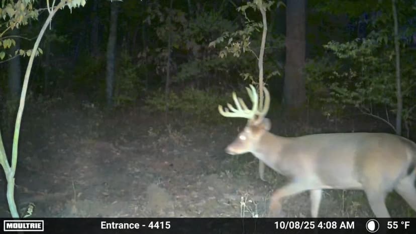 11±-Acre Farm with Great Hunting and Potential Home Sites – Jefferson County