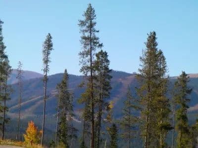 Rendezvous Lot 24 / 1015 Pioneer Trail, in Fraser, Colorado - photo 4