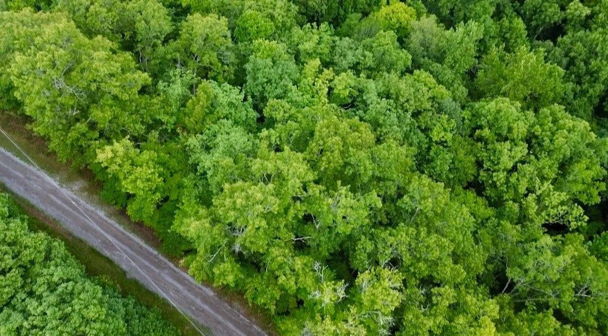 Lots & Land-Other in Smithville - Smithville, Tennessee, 37166