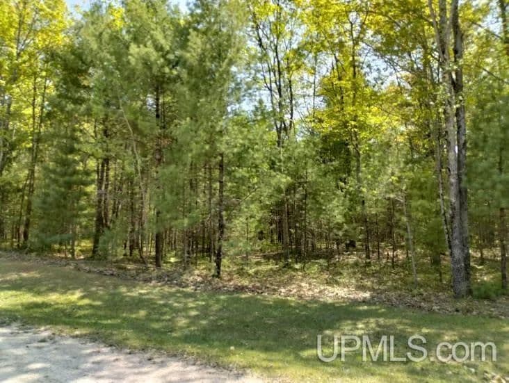 Vacant Land in Rapid River - Rapid River, Michigan, 49878