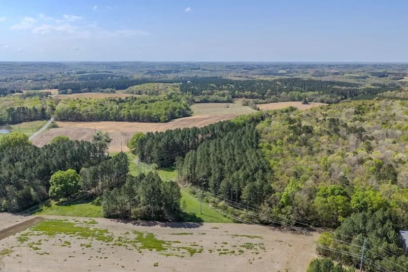 71.53 acres of Agricultural / Timber / Recreational Land For Sale in Stanly County NC!