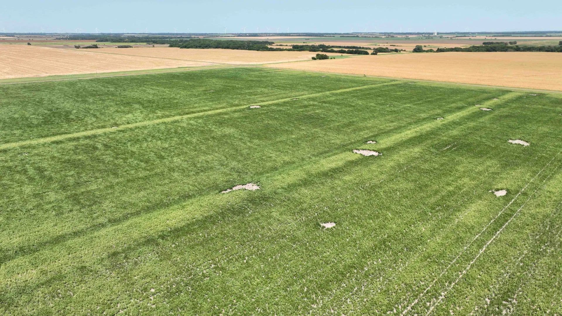 158± Acres Cropland - Tract 1 of 5 - South Haven, Kansas, 67140