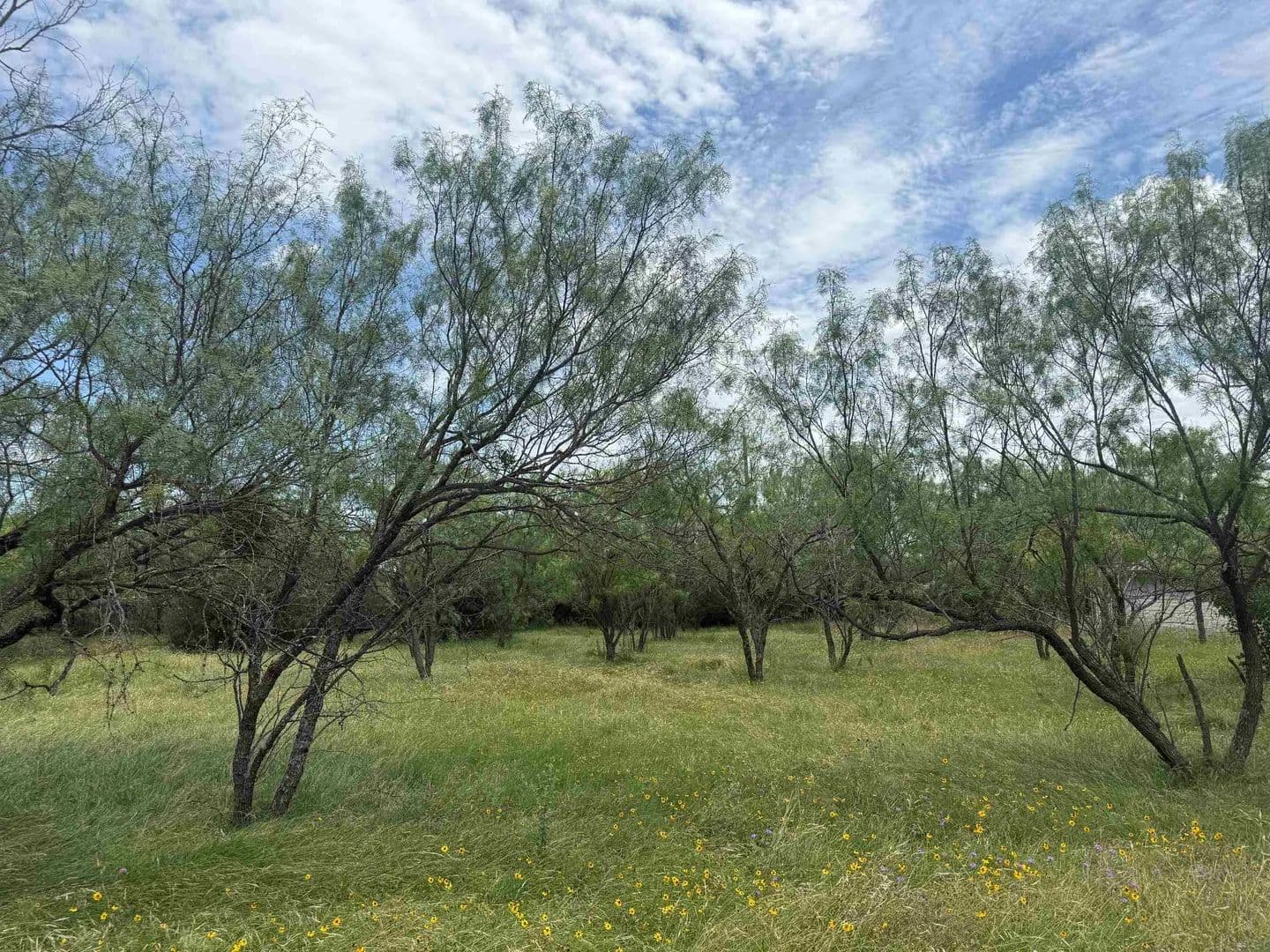 0.11 Acres of Land for Sale in Horseshoe Bay, Texas - land for sale