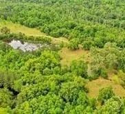 Lots & Land-Other in Riceboro