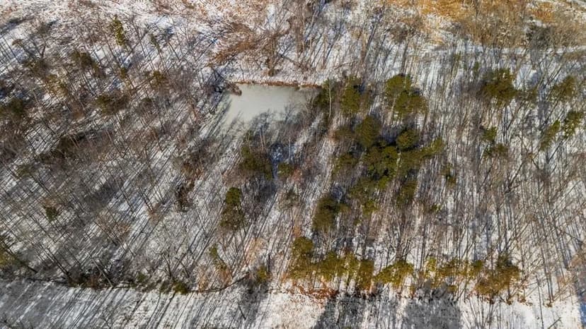 Vacant Land in Prince Edward