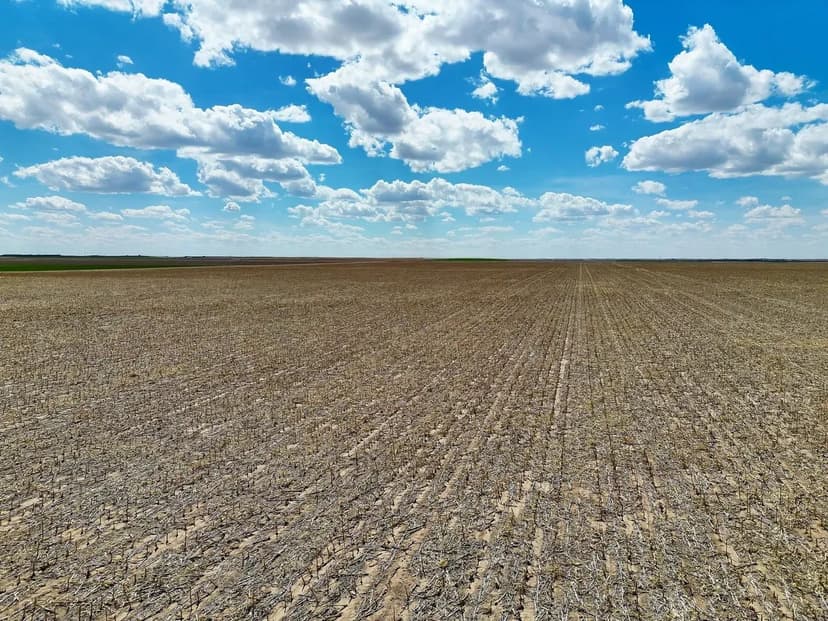 Cow Creek Cropland & Grassland CRP with Close Proximity to I80