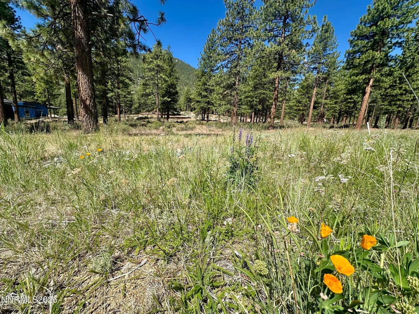 0.87 Acres of Land for Sale in Carson City, Nevada - Carson City, Nevada, 89705