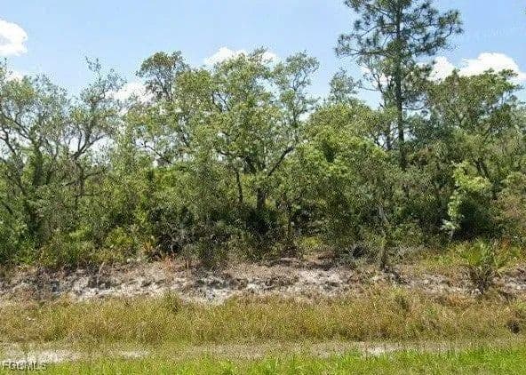 Lots & Land-Other in Lake Placid - Lake Placid, Florida, 33852