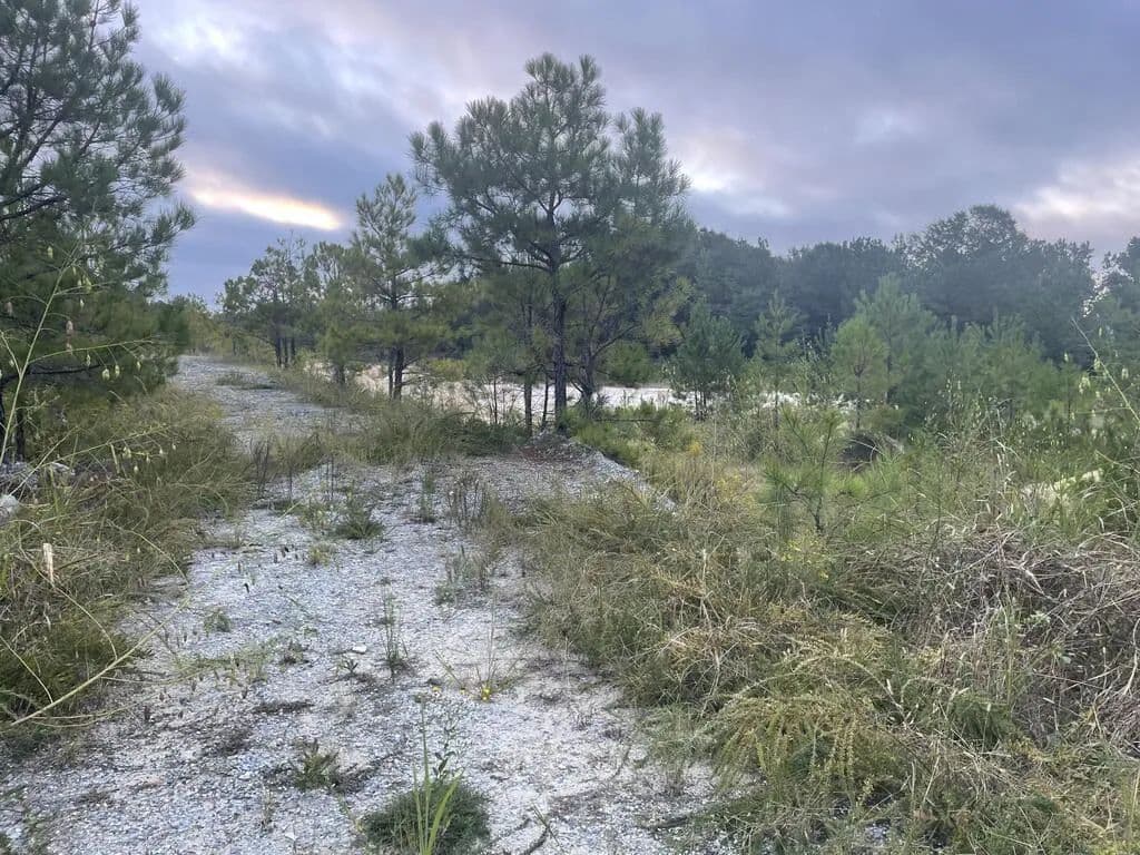 Vacant Land in Columbus - Columbus, Georgia, 31907