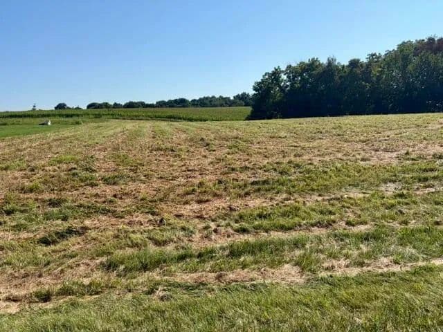 Vacant Land in Campbellsville - Campbellsville, Kentucky, 42718