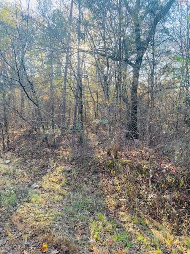 Land -Single Family Acreage in Mena - Mena, Arkansas, 71953