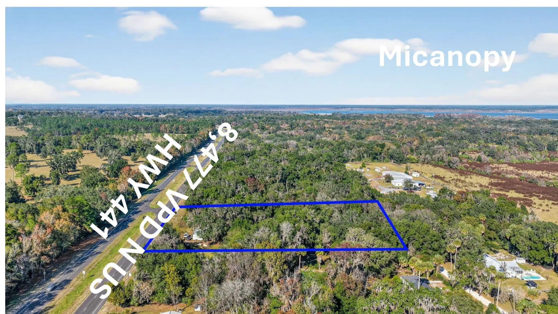 Land -Single Family Acreage in Micanopy - Micanopy, Florida, 32664