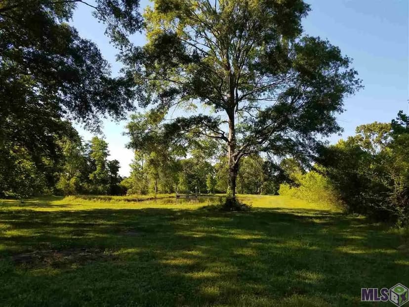 Property from 19450 Perrilloux Rd - KW