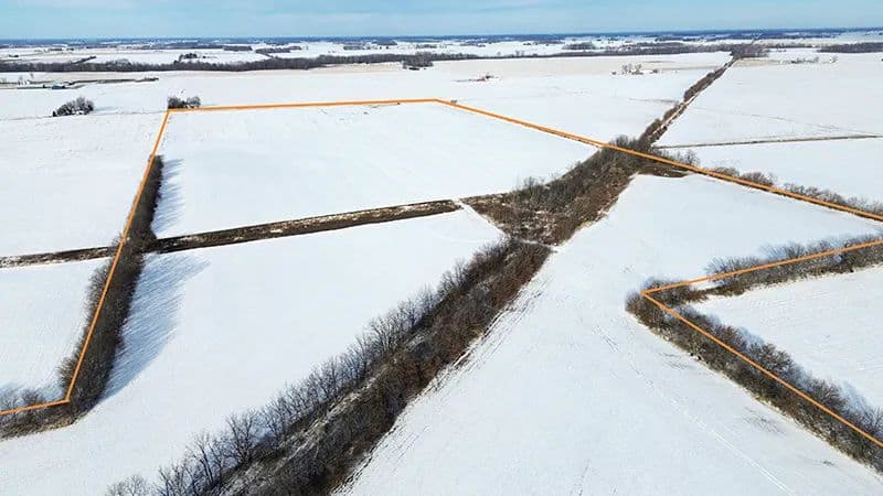 Rosalie Gollner Trust