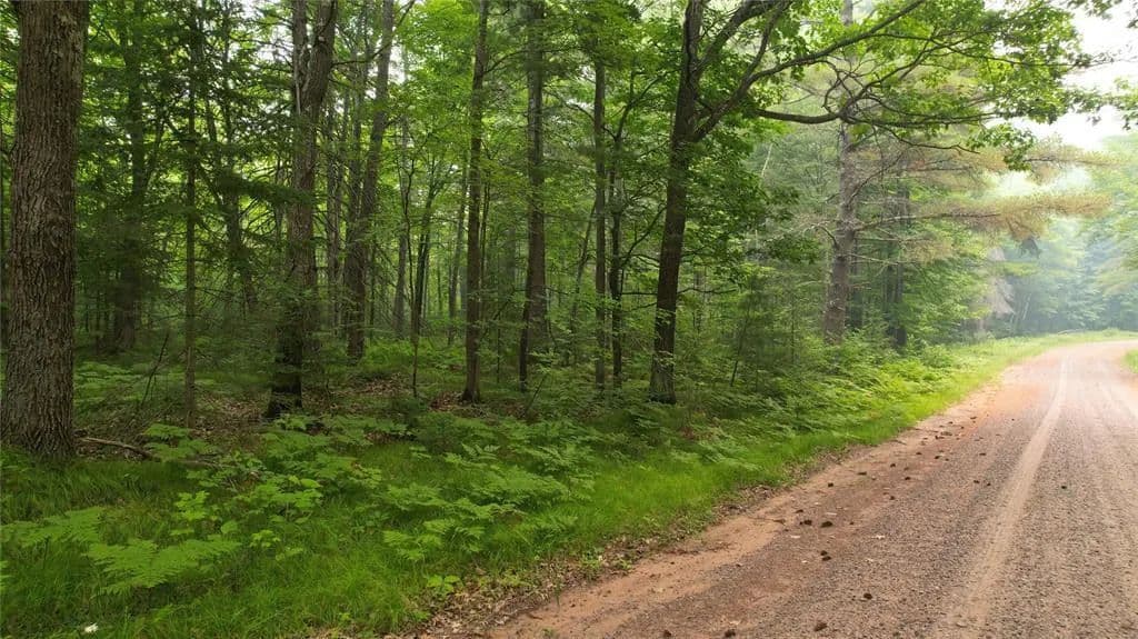 Vacant Land in Drummond - Drummond, Wisconsin, 54832