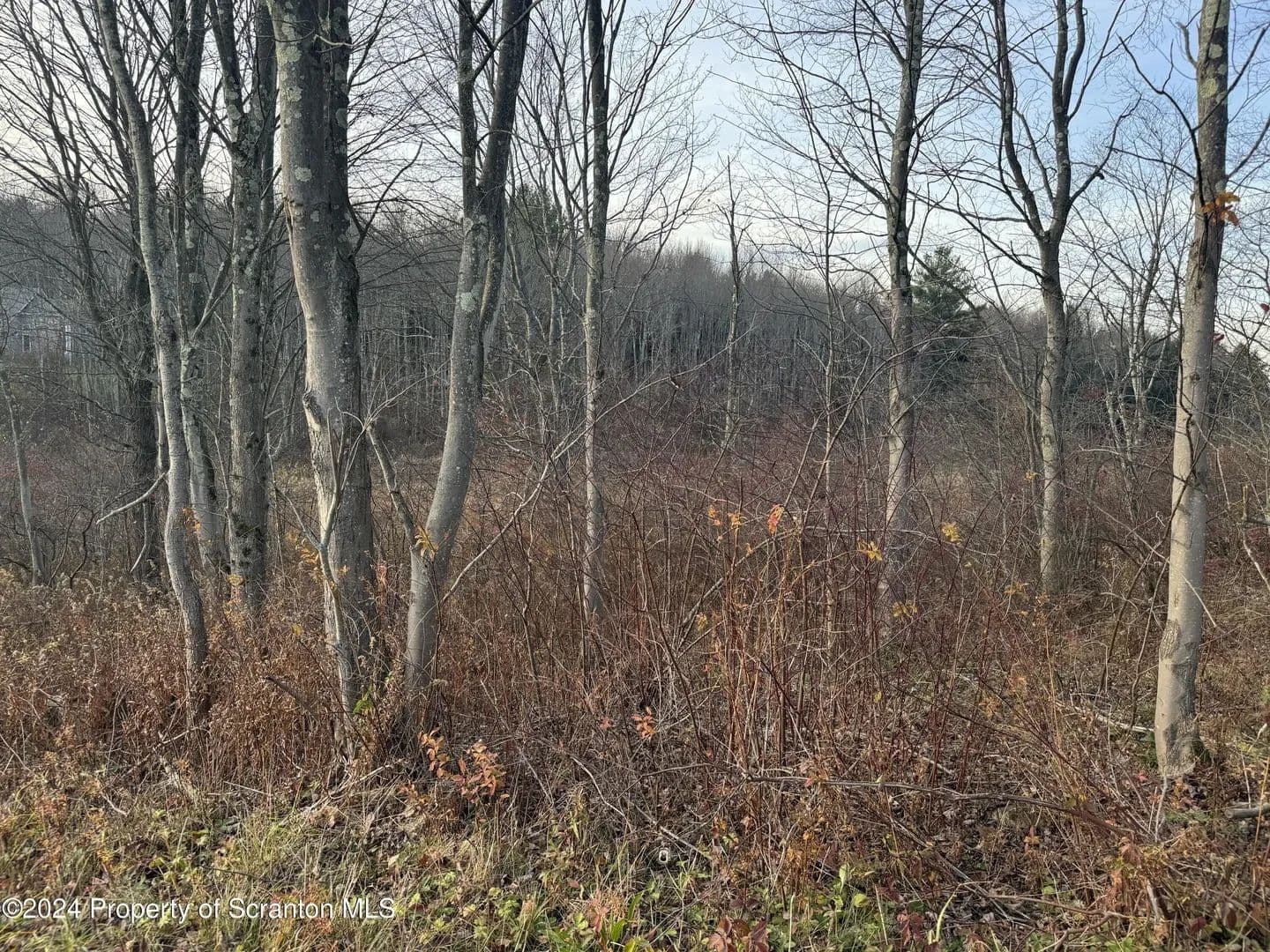 Lots & Land-Other in Greenfield Twp - Pennsylvania, 18407
