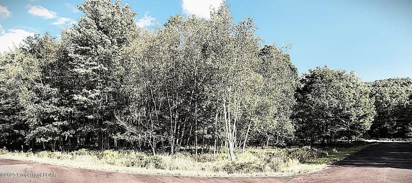 Lots & Land-Other in Hazle Twp