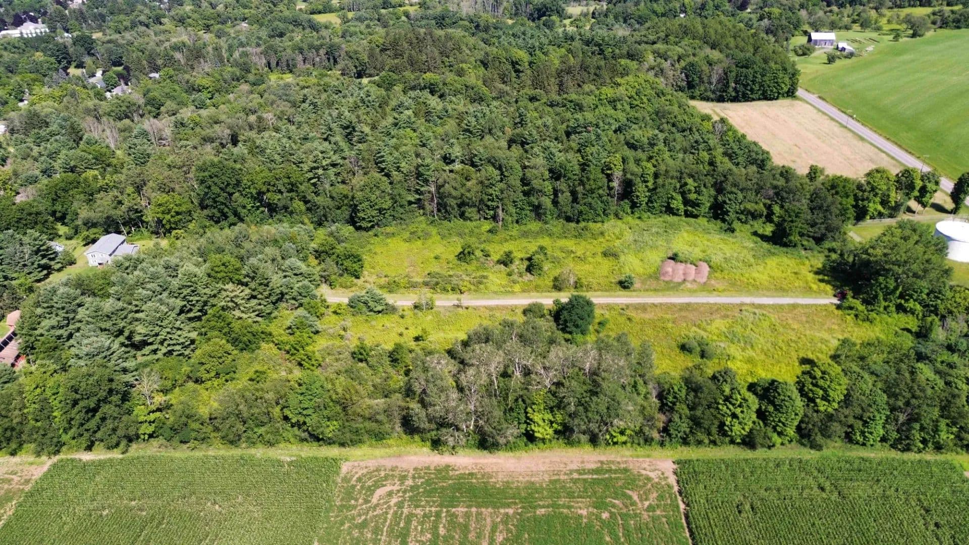 10 acre Building Lot in Dryden NY Ferguson Road in the Finger Lakes Region - Dryden, New York, 13053
