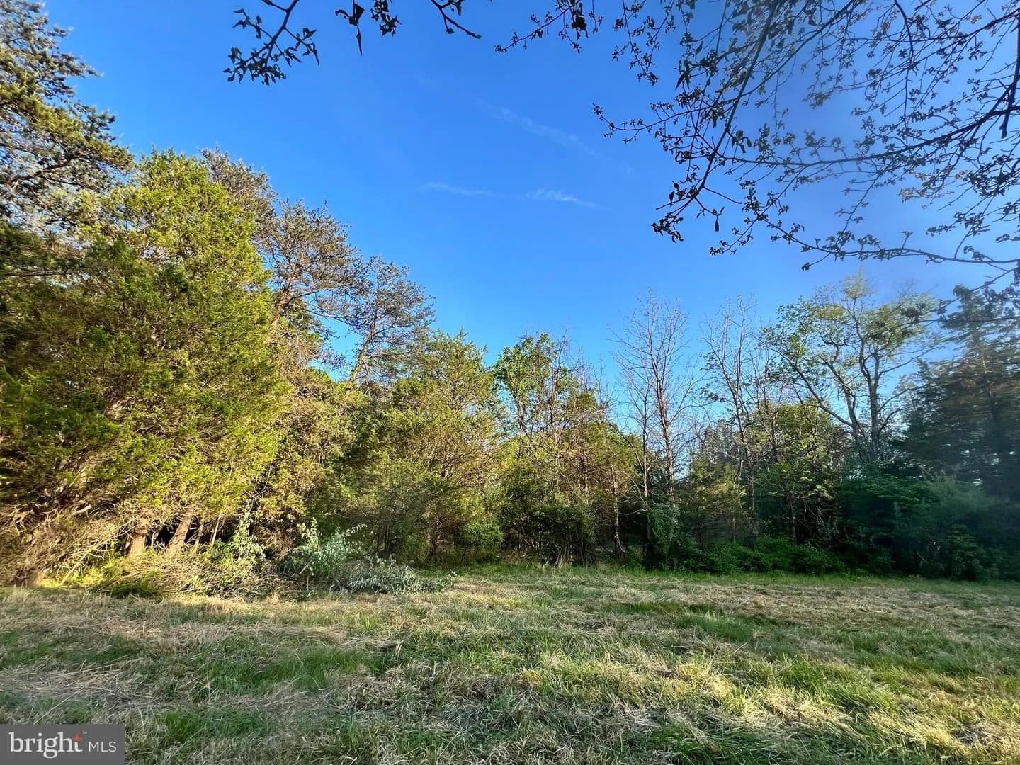 Vacant Land in Gainesville - land for sale