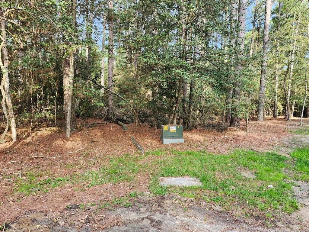 Land -Single Family Acreage in Greenbackville - Greenbackville, Virginia, 23356