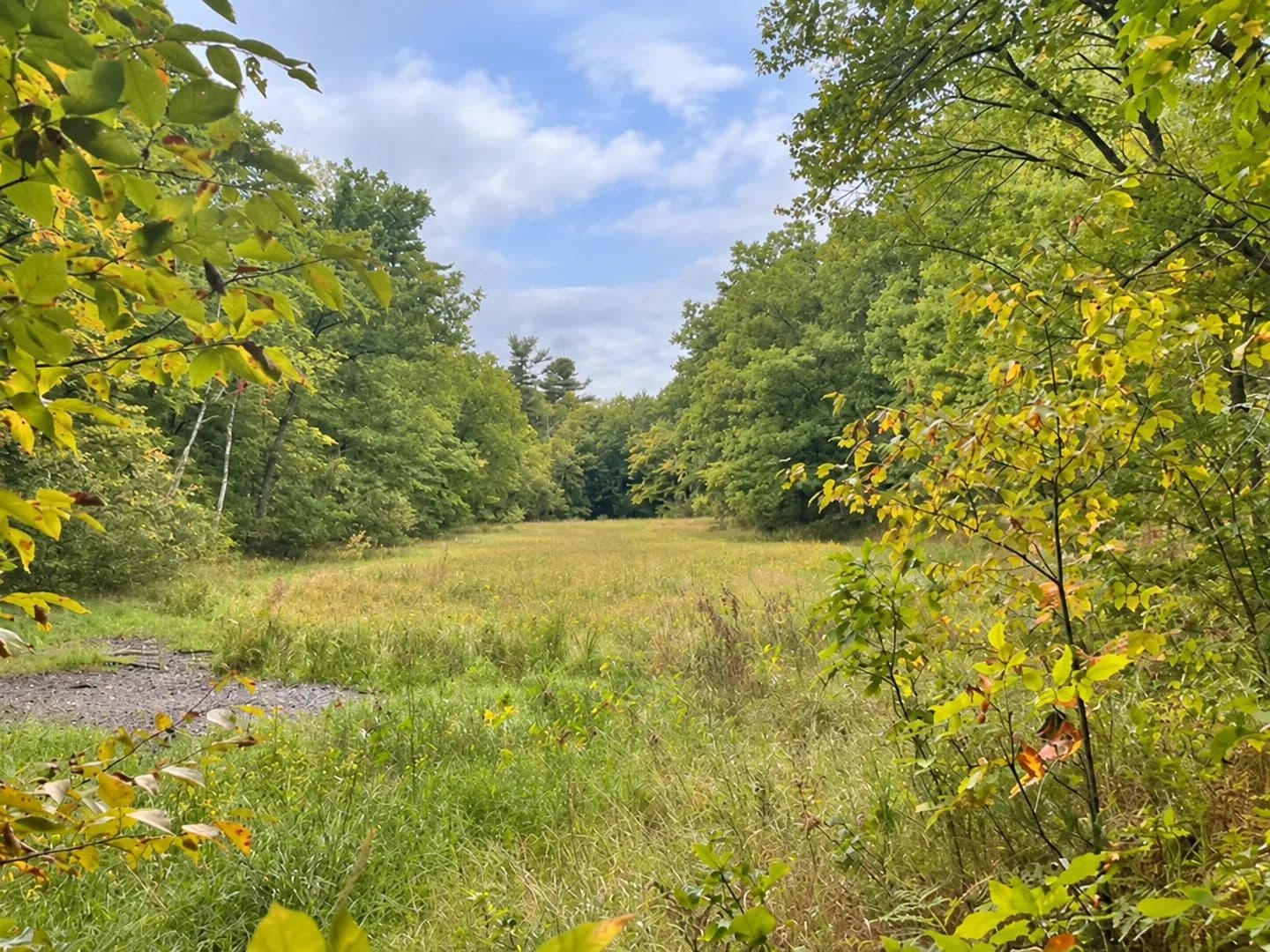 Vacant Land in Mckinley Twp - Wisconsin, 54829