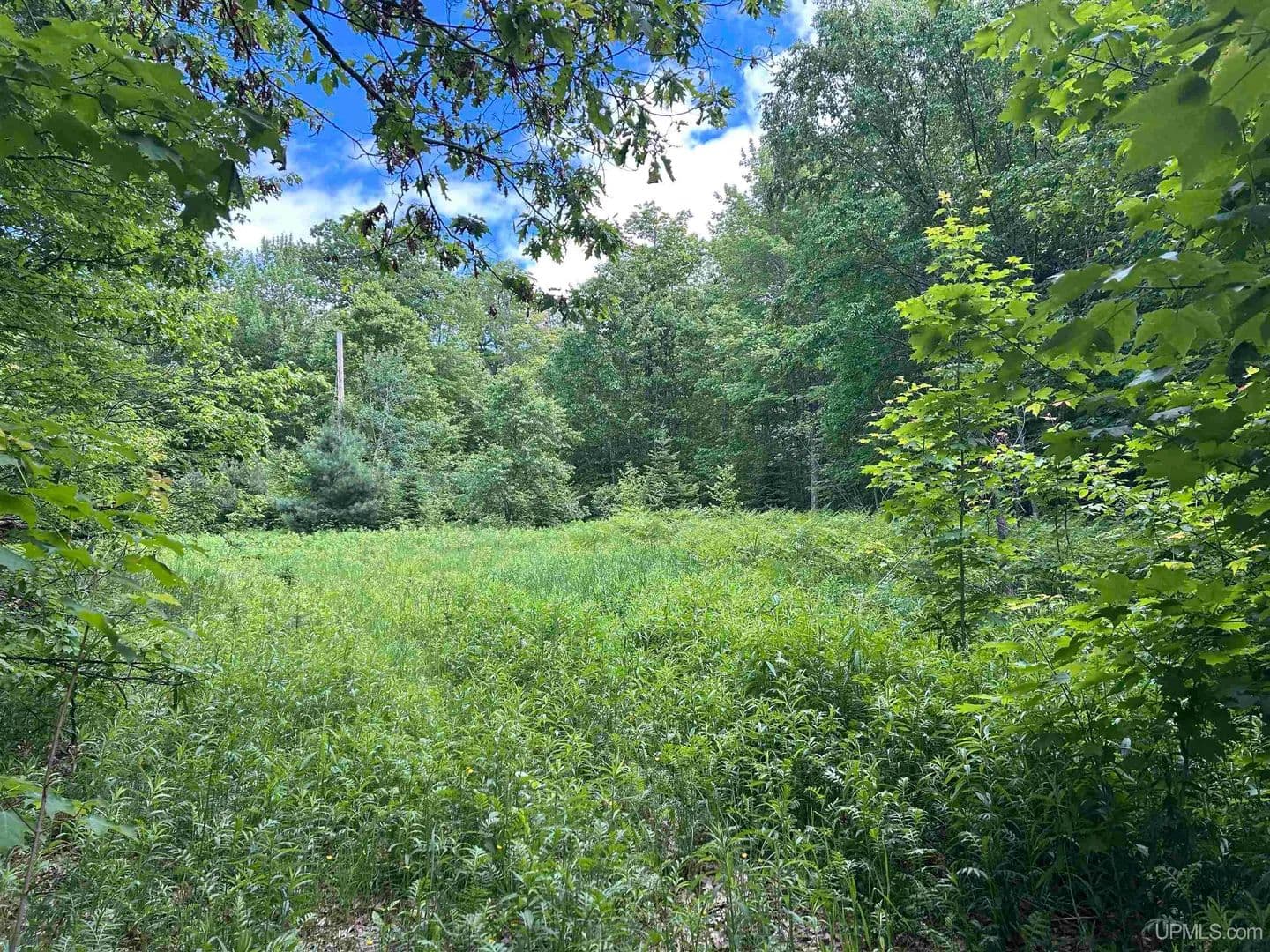Vacant Land in Skandia - Skandia, Michigan, 498850000
