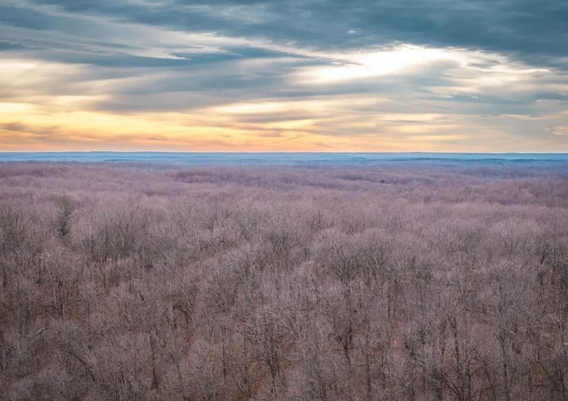 Forest Edge Hunting Camp