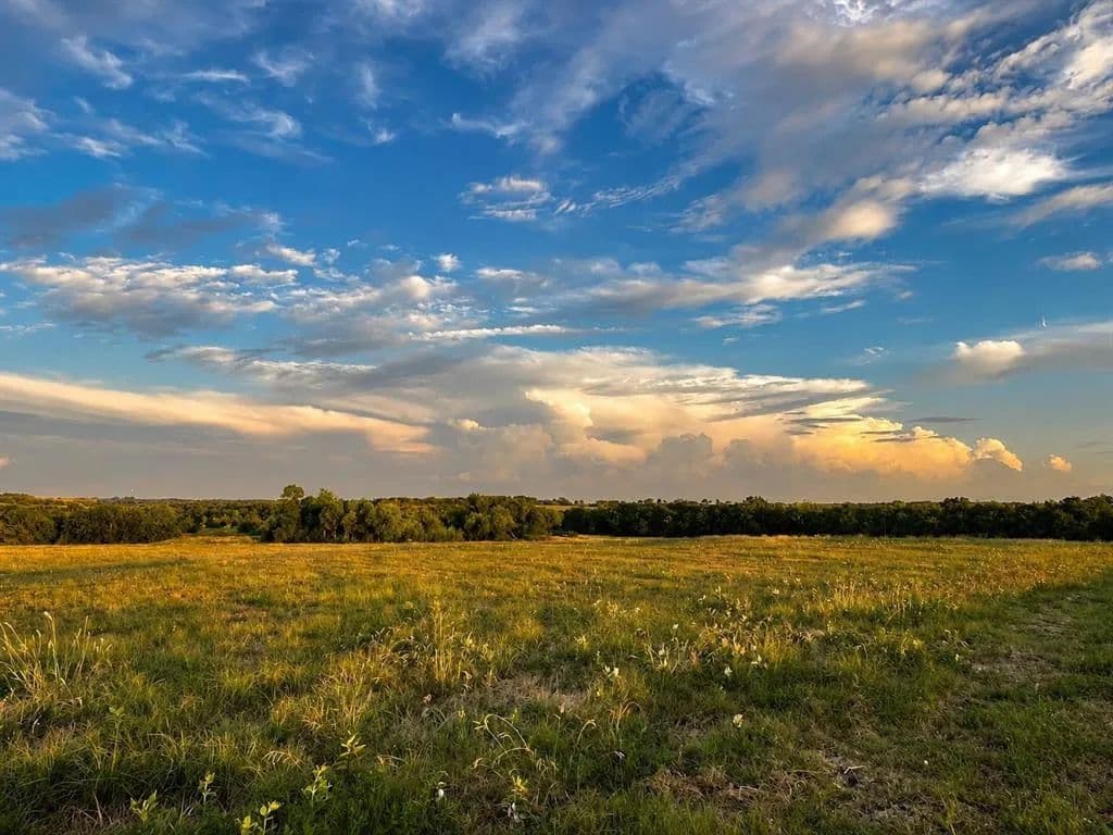 Vacant Land in Celeste - Celeste, Texas, 75423