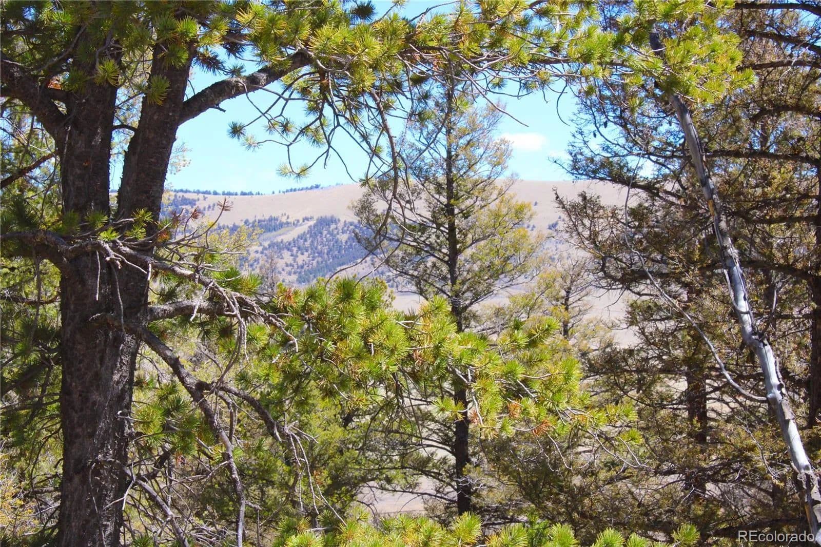 Lots & Land-Other in Fairplay - Fairplay, Colorado, 80440