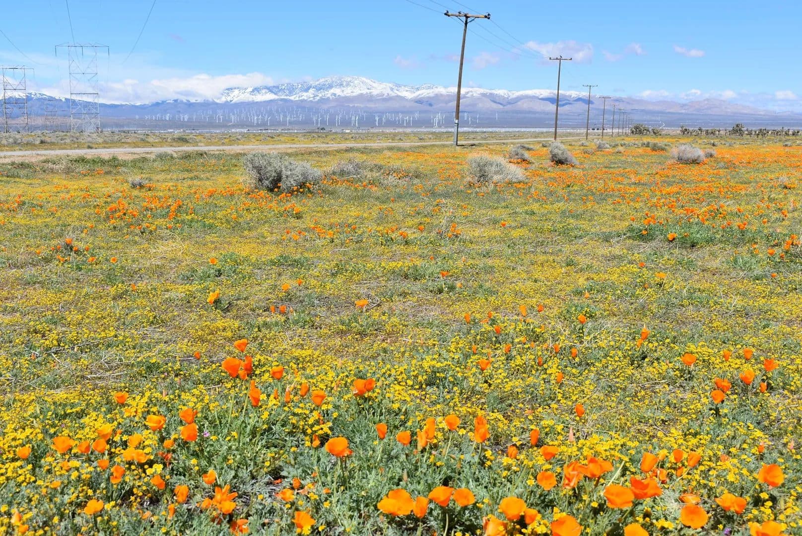 Lots & Land-Other in Fairmont - Fairmont, California, 93536