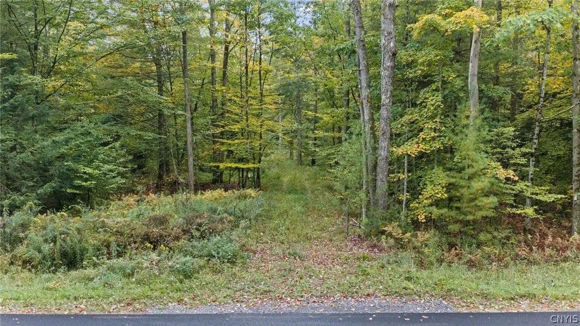 Lots & Land-Other in Camden - Camden, New York, 13316