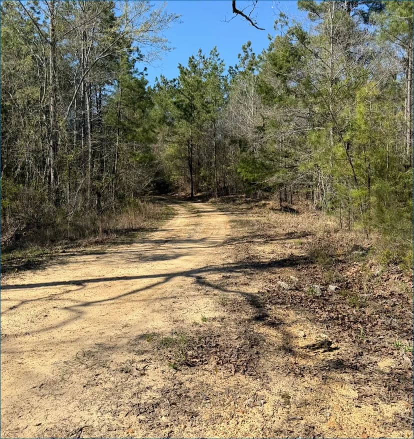 30 Acres in Attala County in Sallis, MS