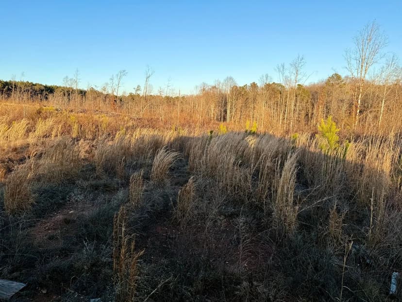 Kettle Creek Ridge - 244 Acres - Wilkes County, GA