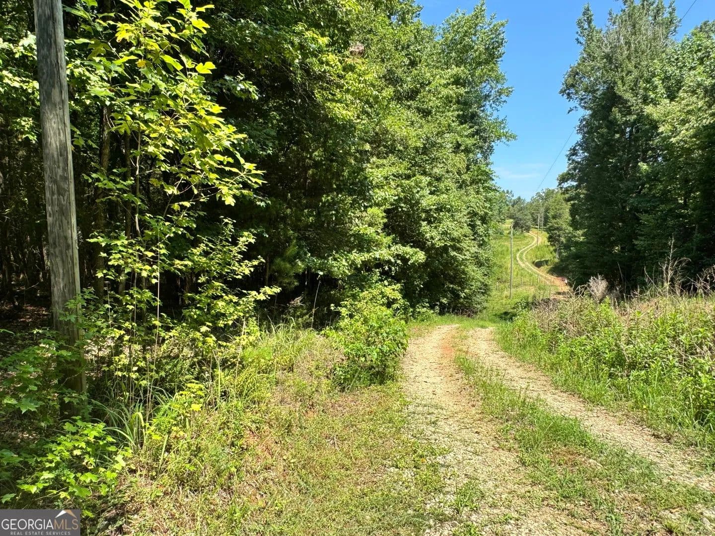 Vacant Land in Danielsville - Danielsville, Georgia, 30633