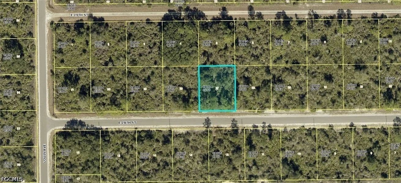 0.29 Acres of Land for Sale in Alva, Florida - Alva, Florida, 33920